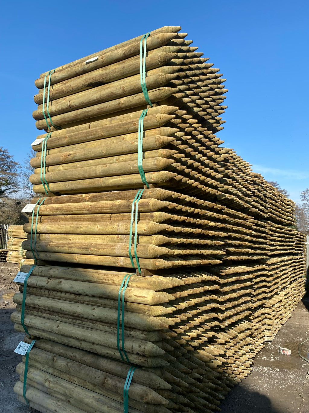Platinum Incised Round Pointed Post - 100mm x 1.65m