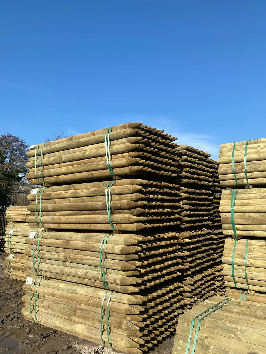 Platinum Incised Round Pointed Post - 100mm x 2.1m