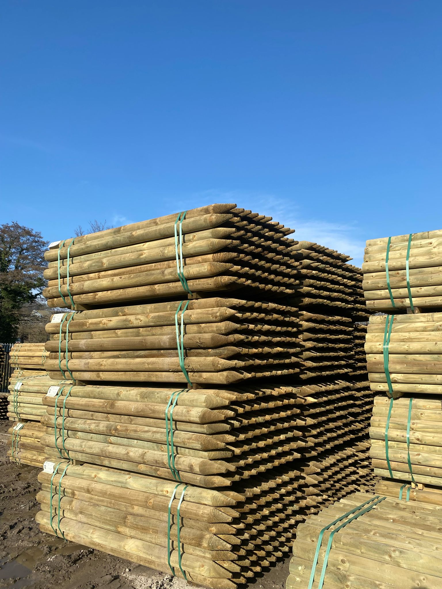 Platinum Incised Round Pointed Post - 100mm x 2.1m