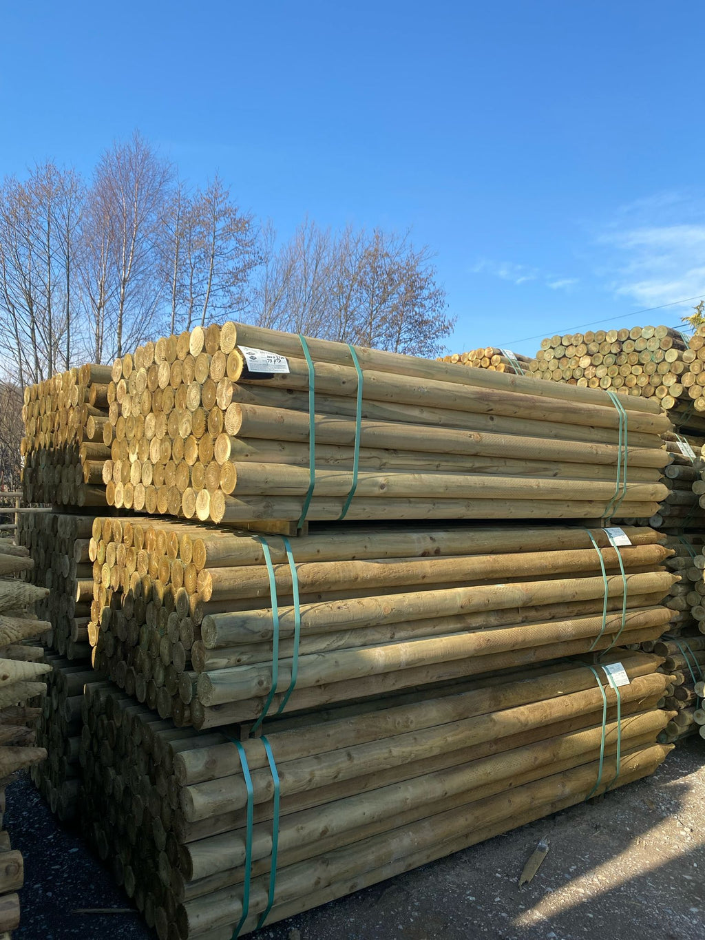 Platinum Incised Round Pointed Post - 100mm x 2.7m (Deerfence Range)