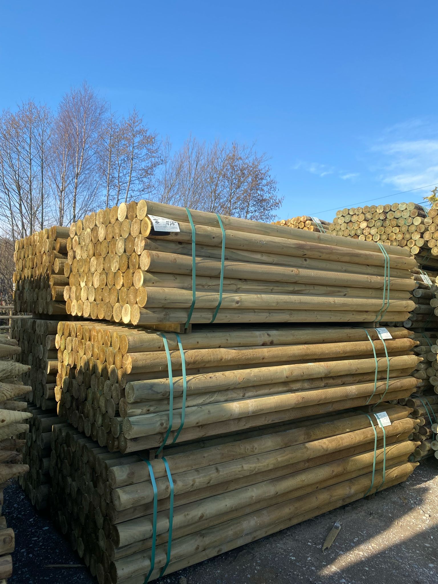 Platinum Incised Round Pointed Post - 100mm x 2.7m (Deerfence Range)