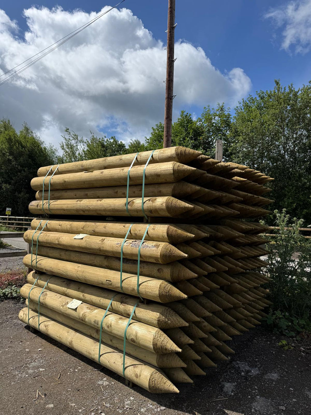 Platinum Incised Round Pointed Post - 175mm x 2.1m