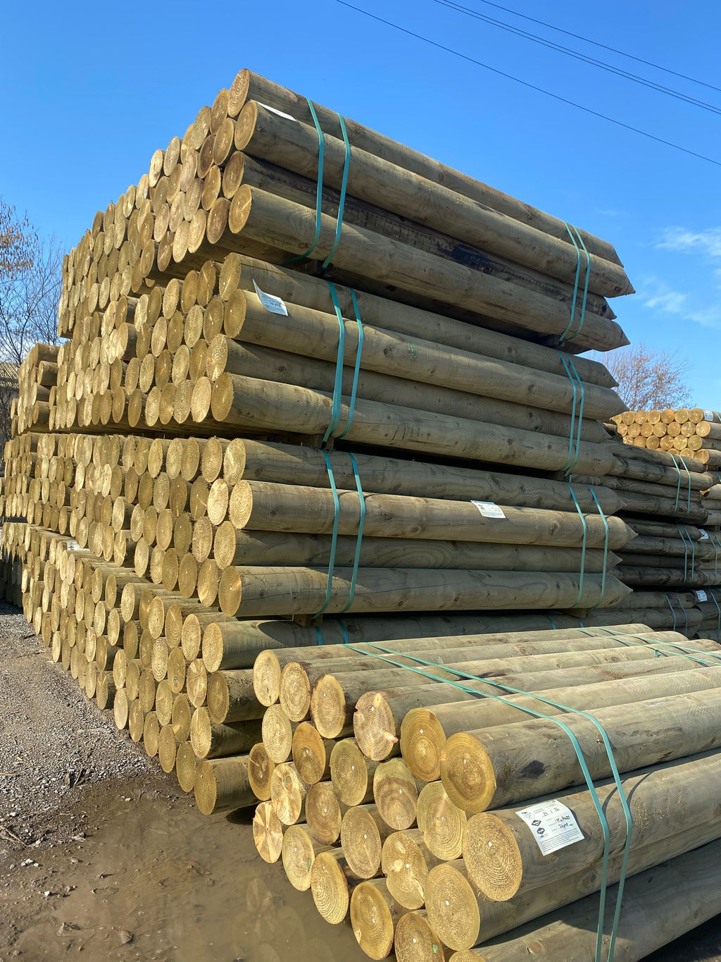 Platinum Incised Round Pointed Post - 175mm x 2.4m