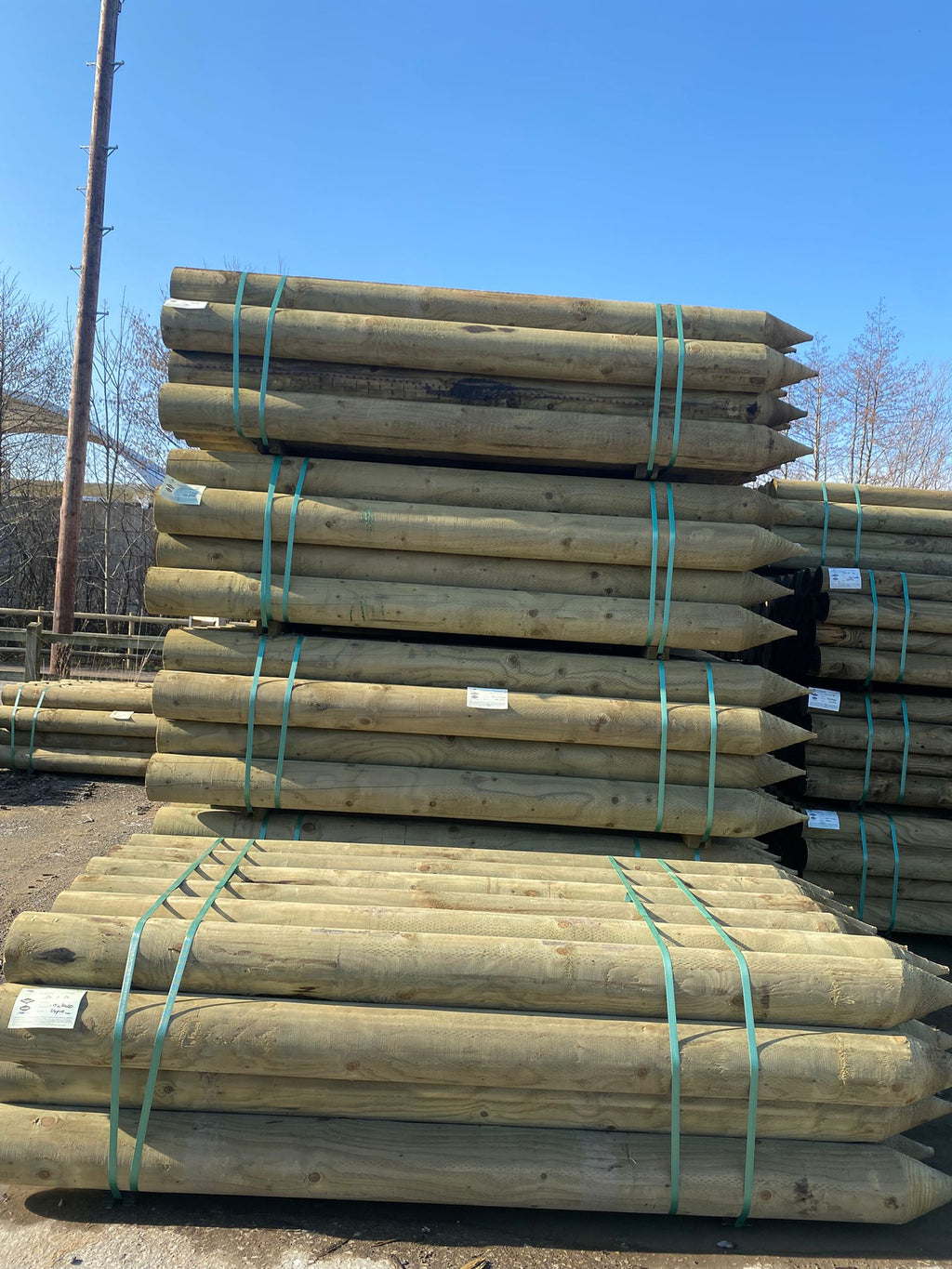 Platinum Incised Round Pointed Post - 175mm x 2.4m
