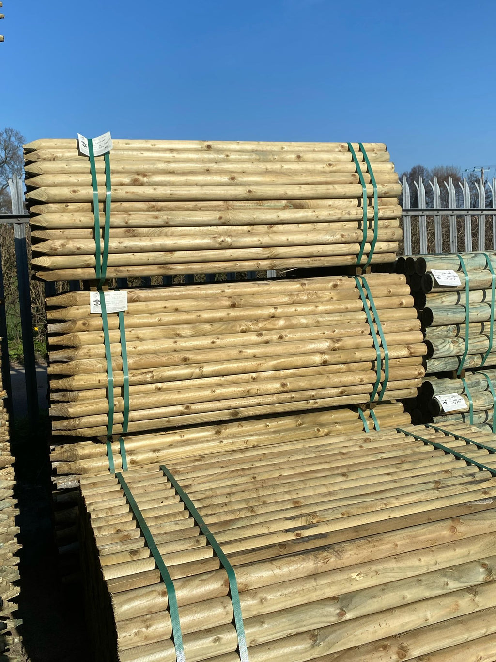Platinum Incised Round Pointed Post - 60mm x 1.65m