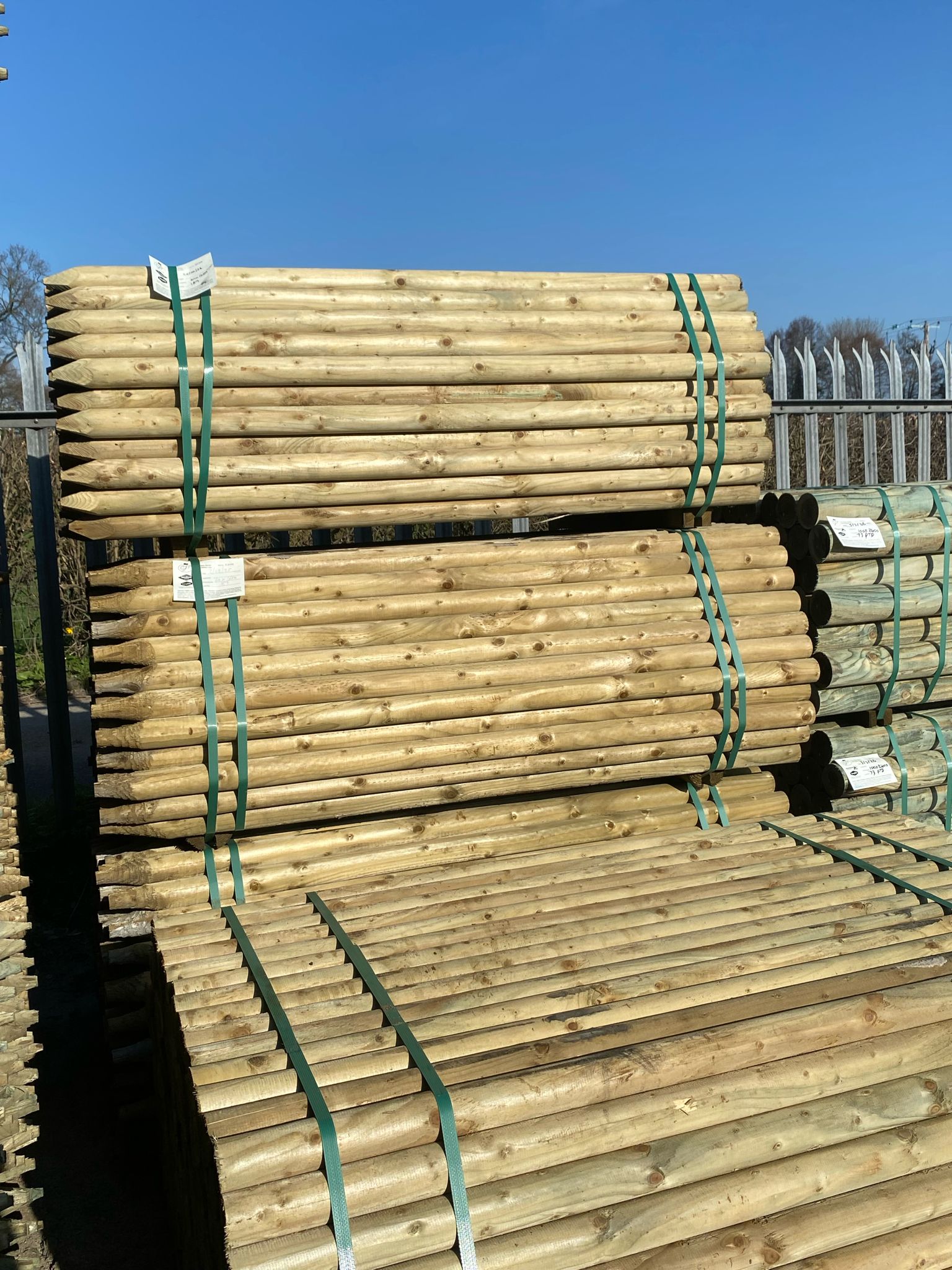 Platinum Incised Round Pointed Post - 60mm x 1.65m
