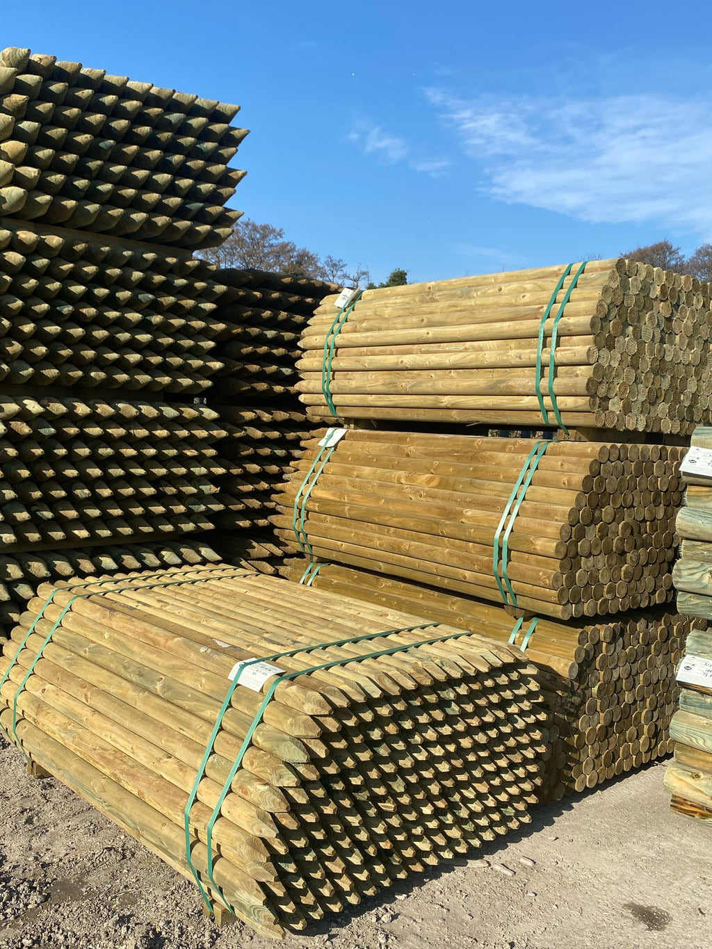 Platinum Incised Round Pointed Post - 60mm x 1.65m