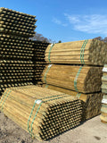 Platinum Incised Round Pointed Post - 60mm x 1.65m