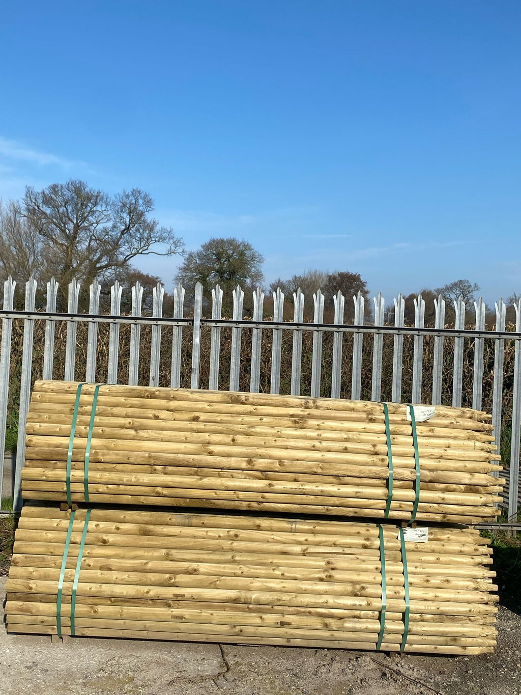 Platinum Incised Round Pointed Post - 60mm x 2.4m
