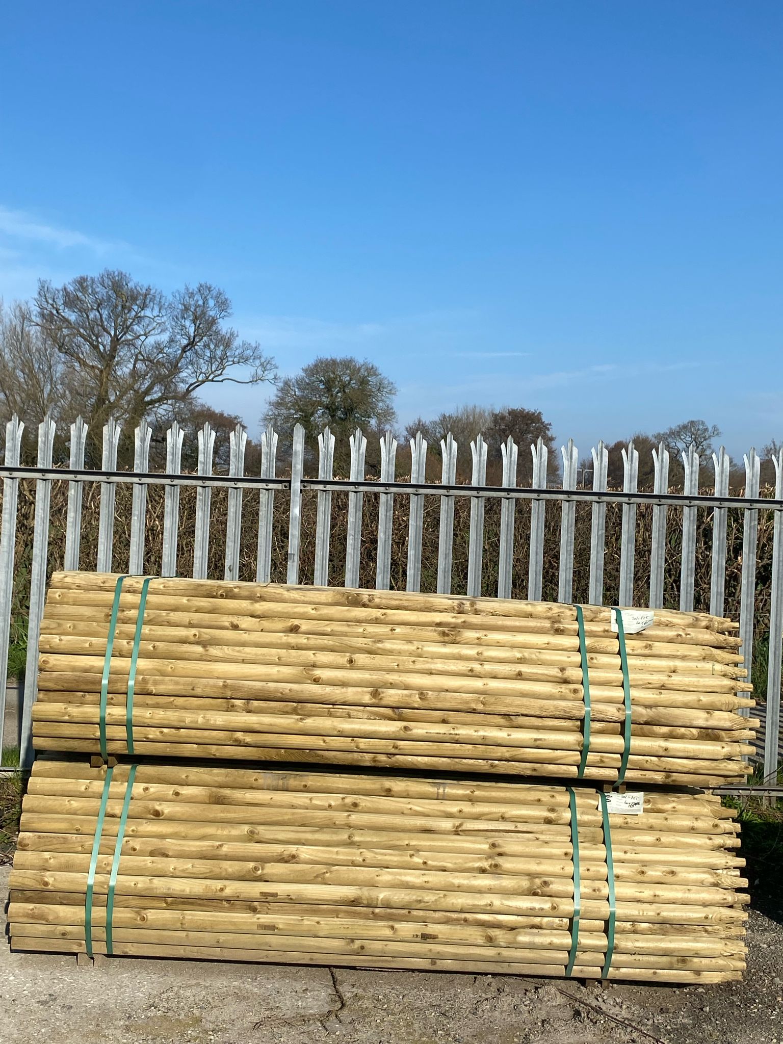 Platinum Incised Round Pointed Post - 60mm x 2.4m