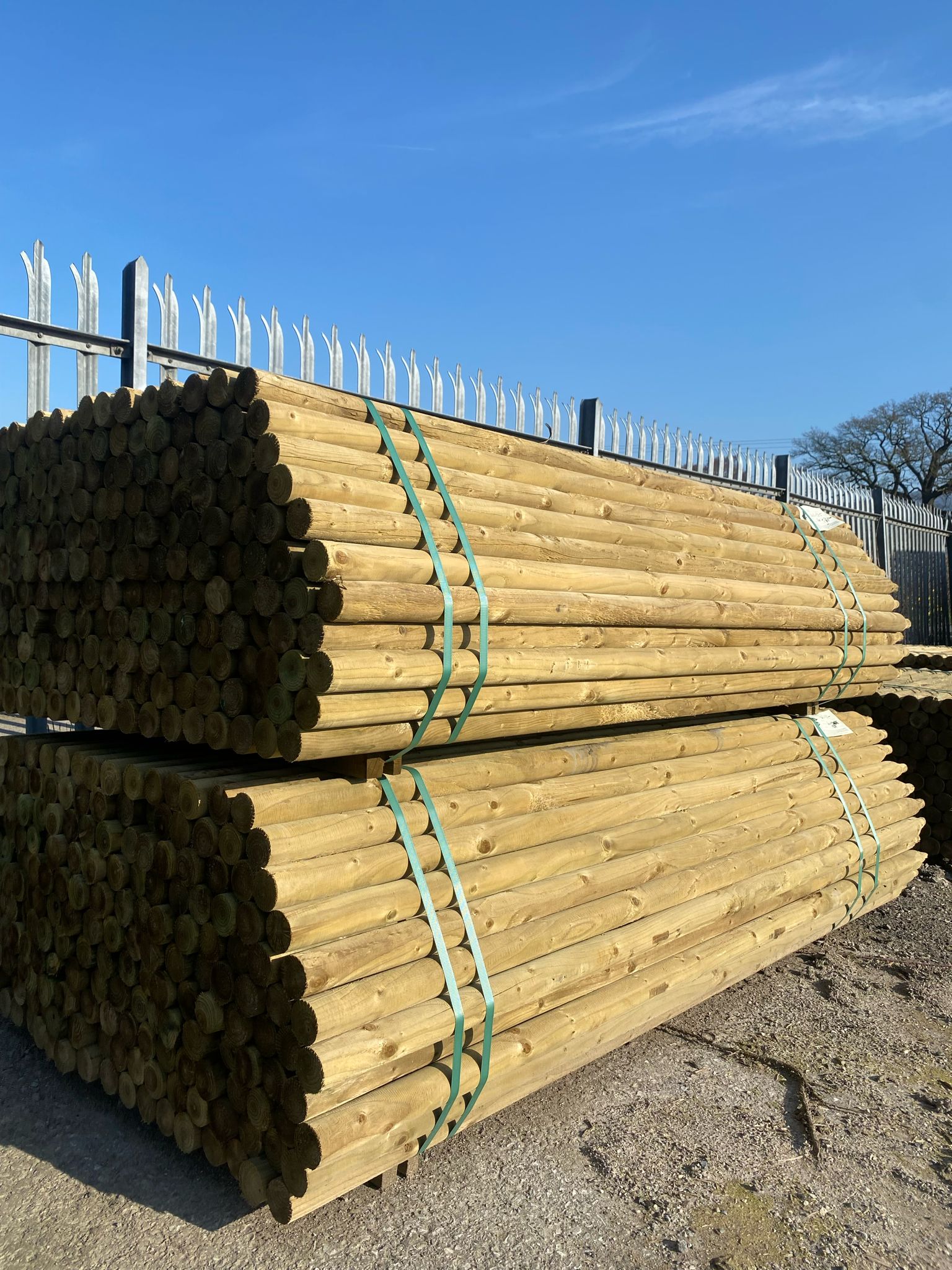Platinum Incised Round Pointed Post - 60mm x 2.4m