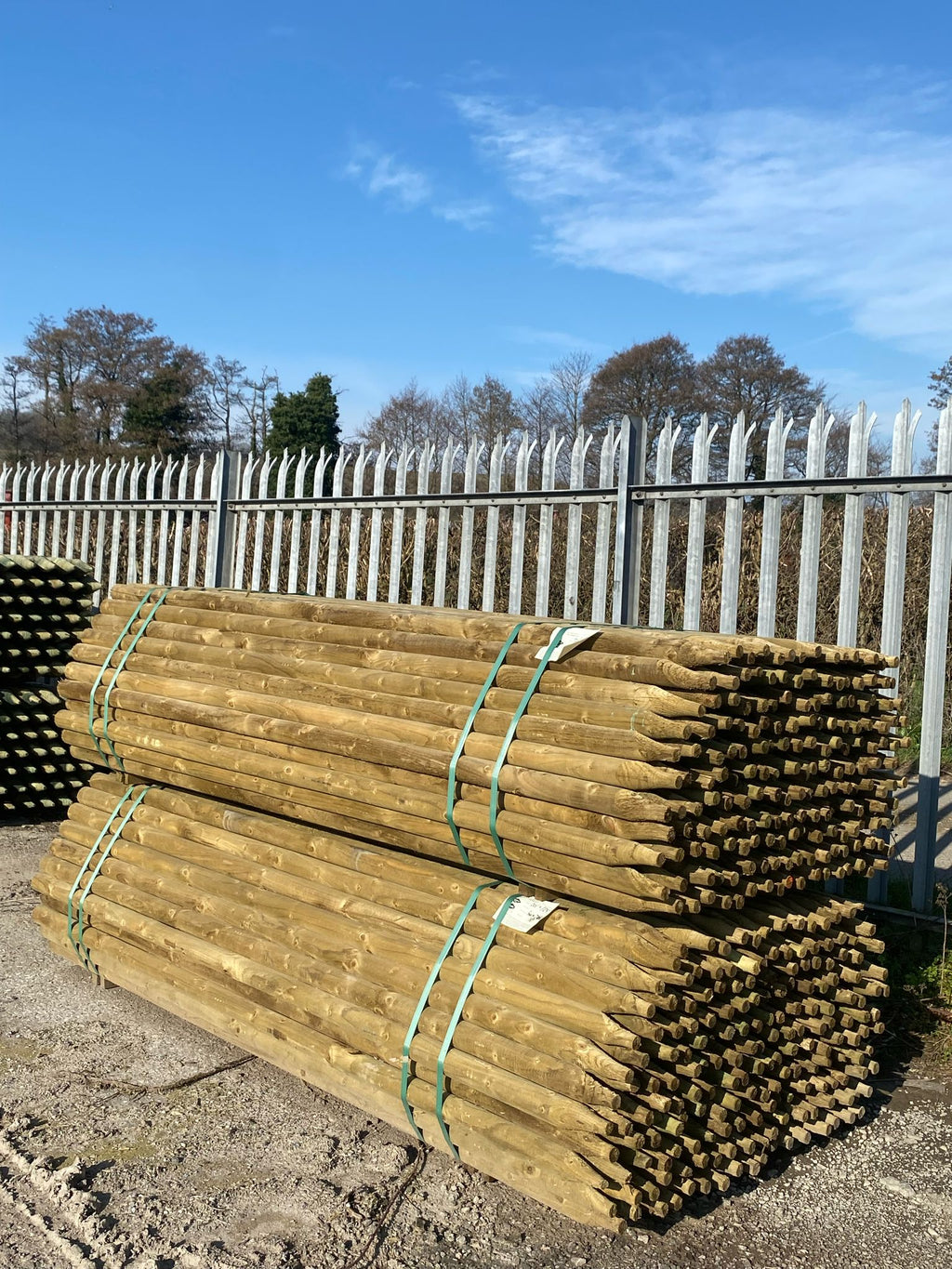 Platinum Incised Round Pointed Post - 60mm x 2.4m