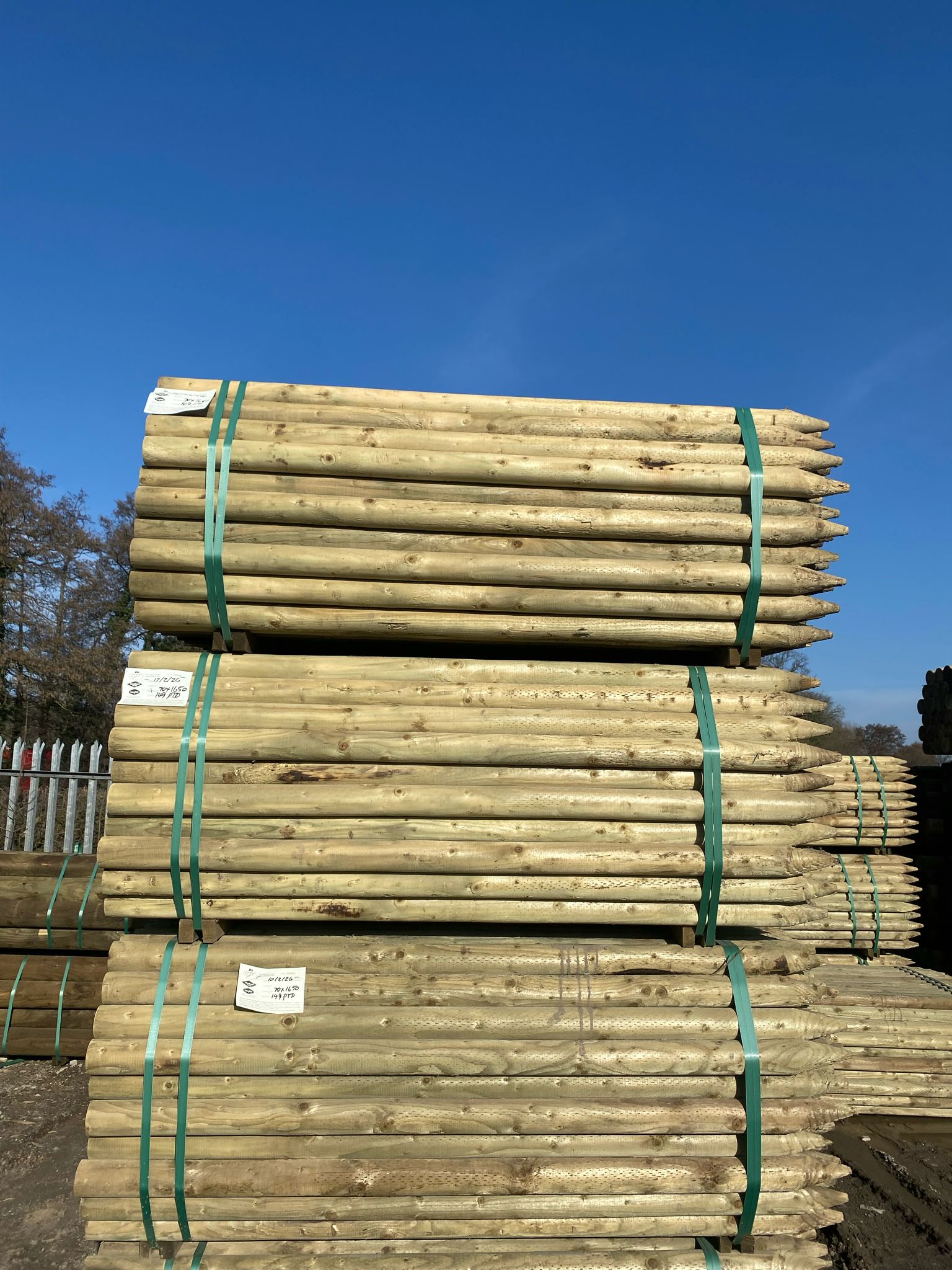 Platinum Incised Round Pointed Post - 70mm x 1.65m