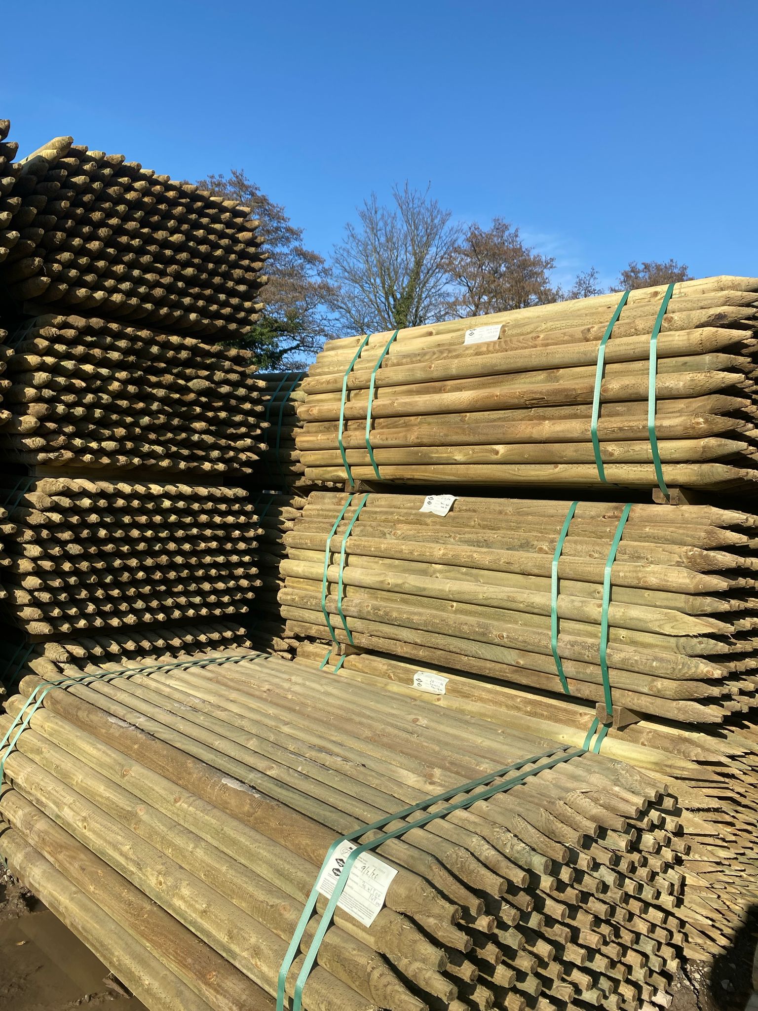 Platinum Incised Round Pointed Post - 70mm x 1.8m