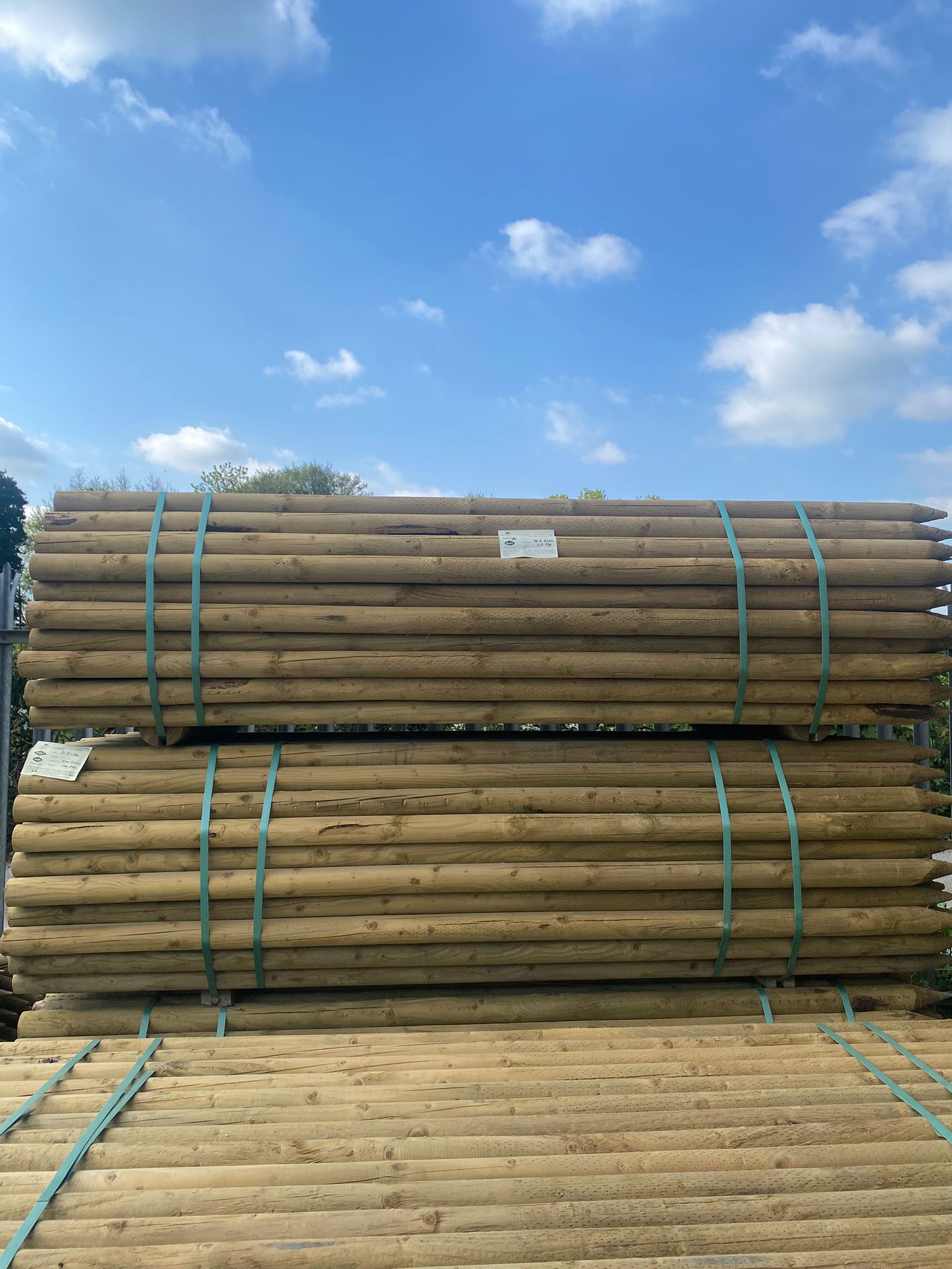 Platinum Incised Round Pointed Post - 70mm x 2.4m