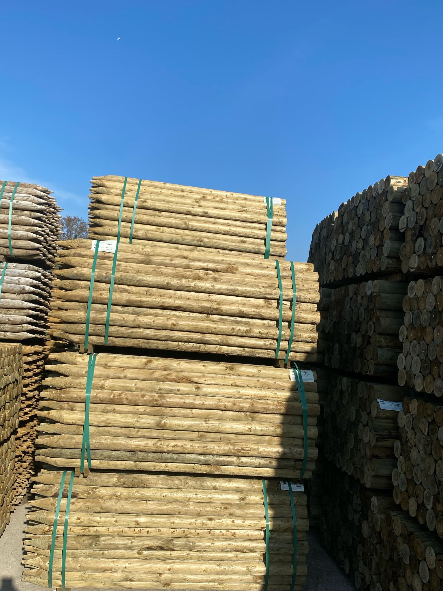 Uniform Peeled Fence Post - 2-3" x 1.65m