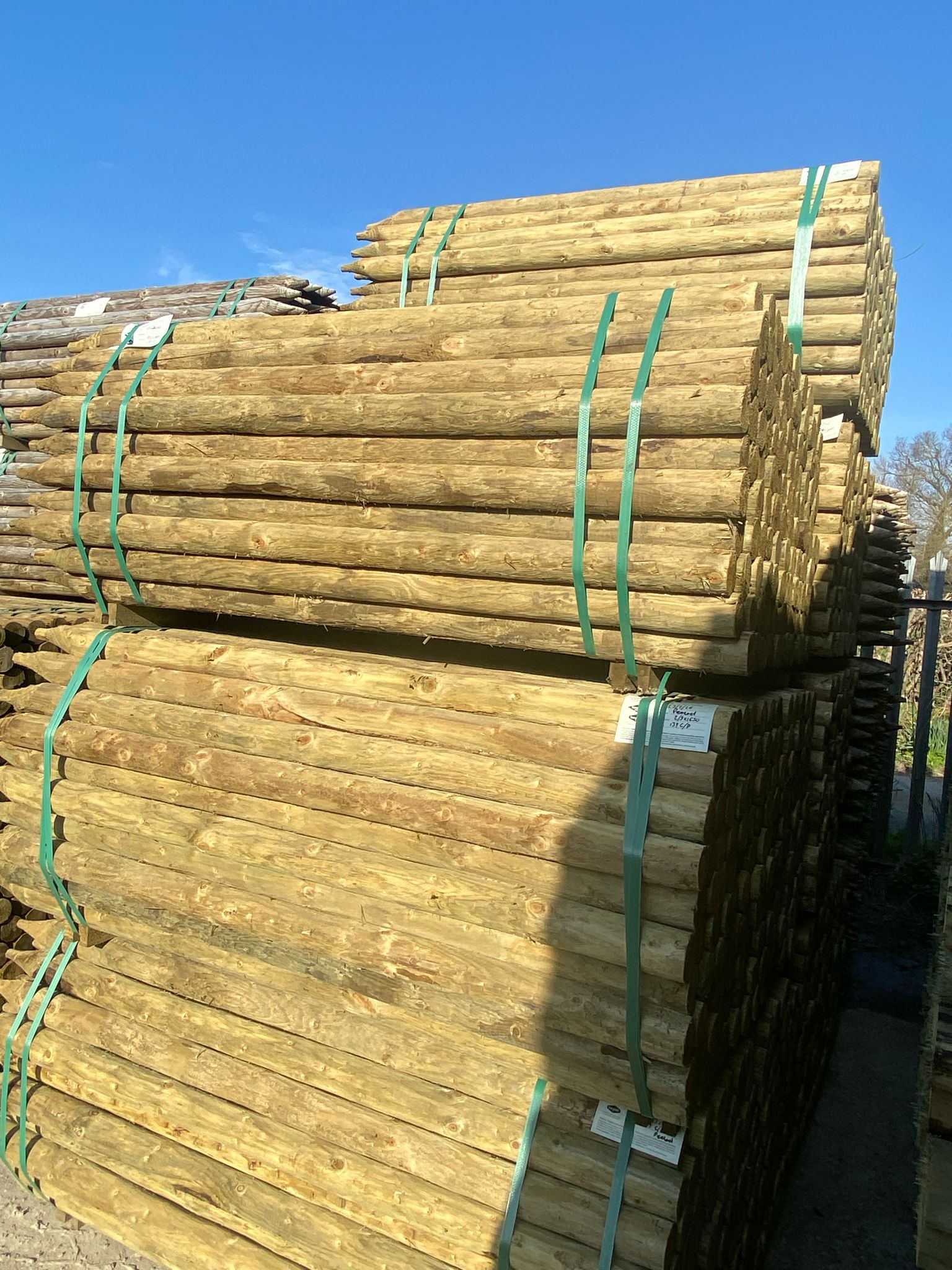 Uniform Peeled Fence Post - 2-3" x 1.65m