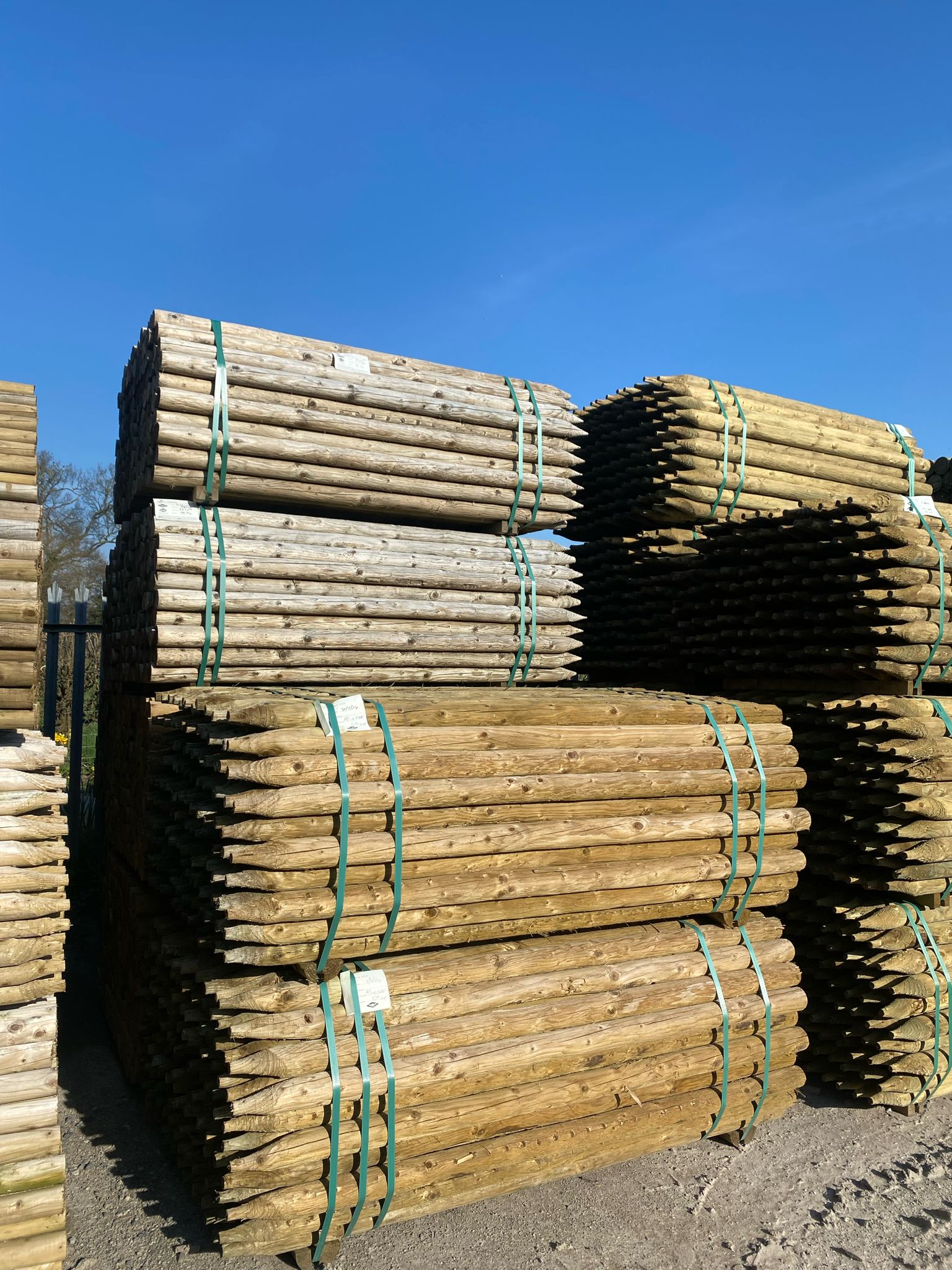 Uniform Peeled Fence Post - 2-3" x 1.8m