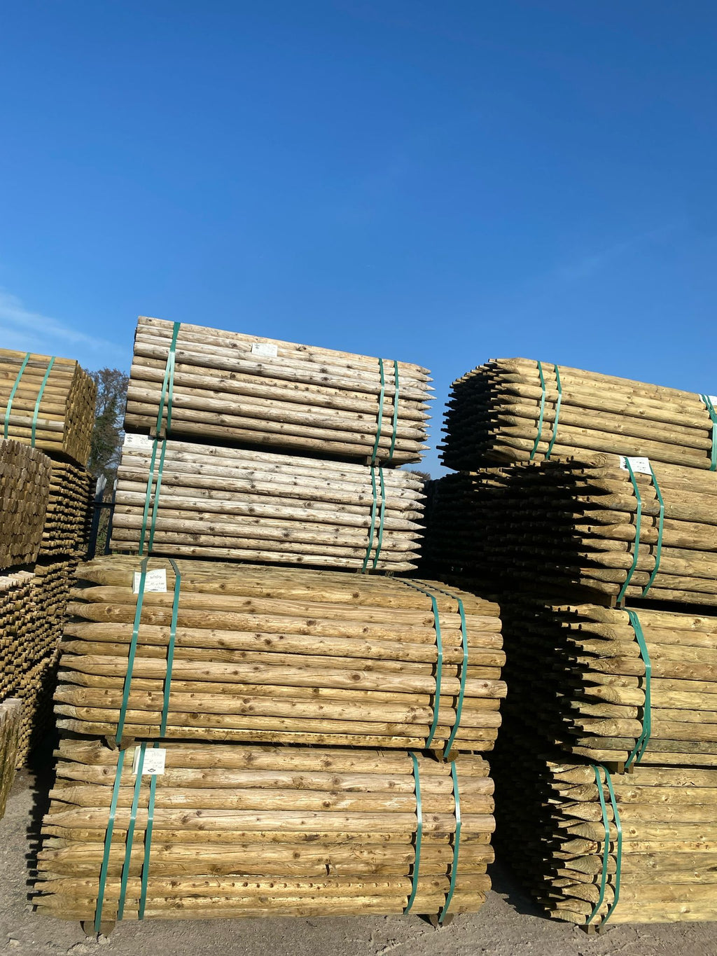 Uniform Peeled Fence Post - 2-3" x 1.8m