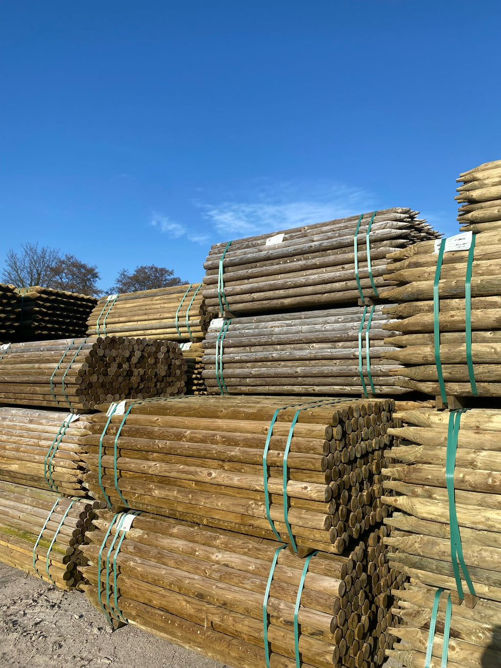 Uniform Peeled Fence Post - 2-3" x 1.8m