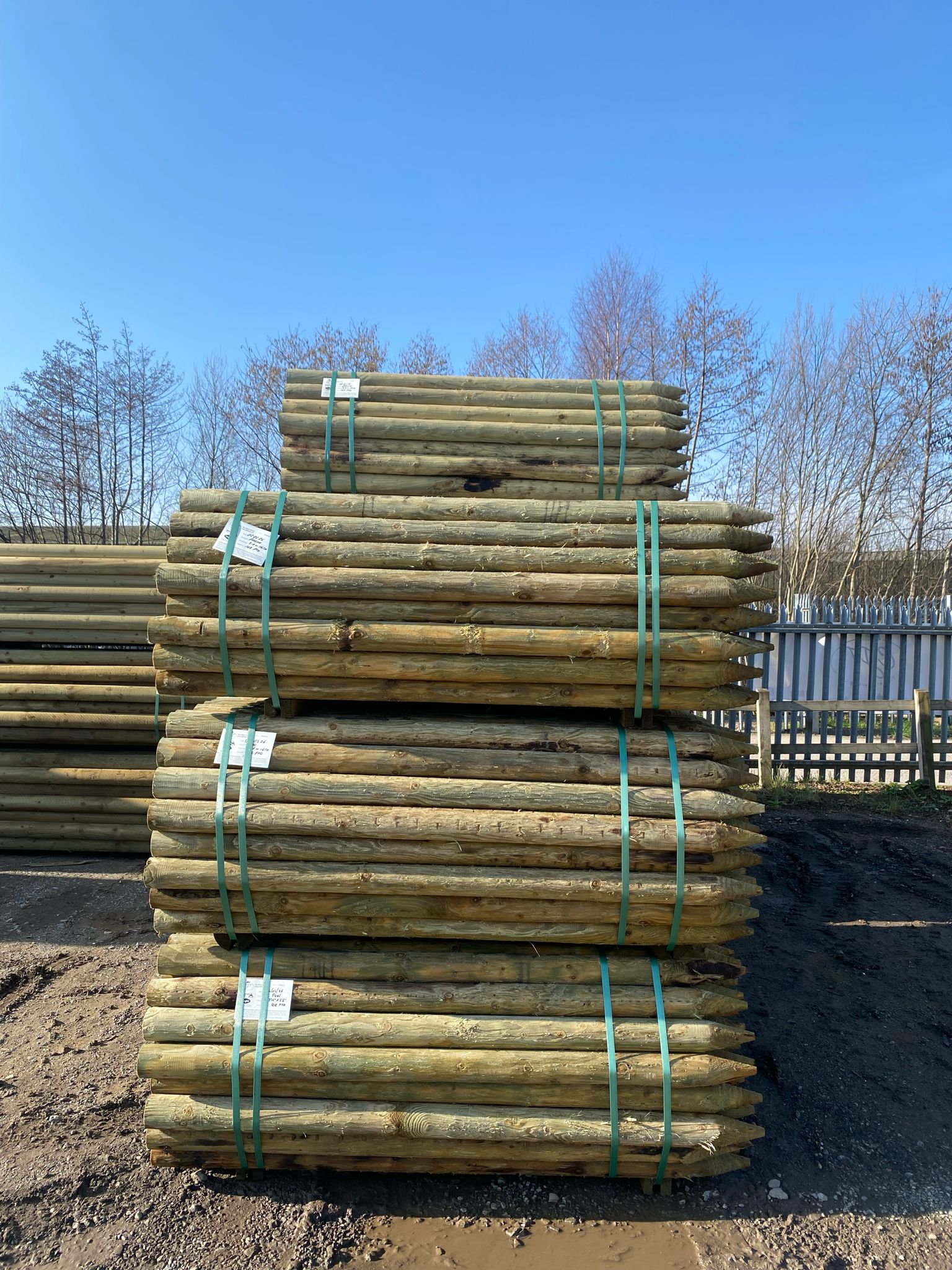 Uniform Peeled Fence Post - 3-4" x 1.65m