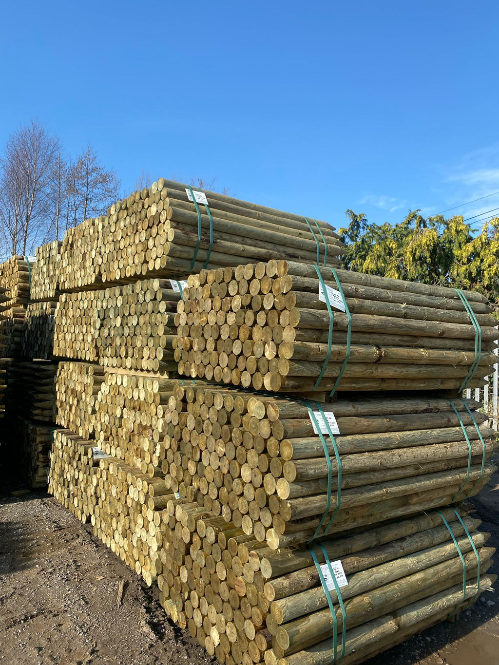 Uniform Peeled Fence Post - 3-4" x 1.65m